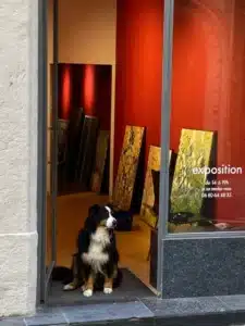 Exposition Jocco Pelletier "Le Jour Presque"