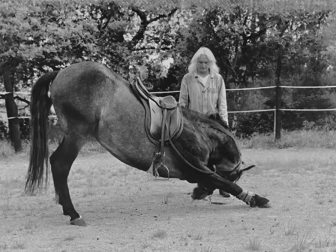 portrait Werner Reinisch portrait Werner Reinisch